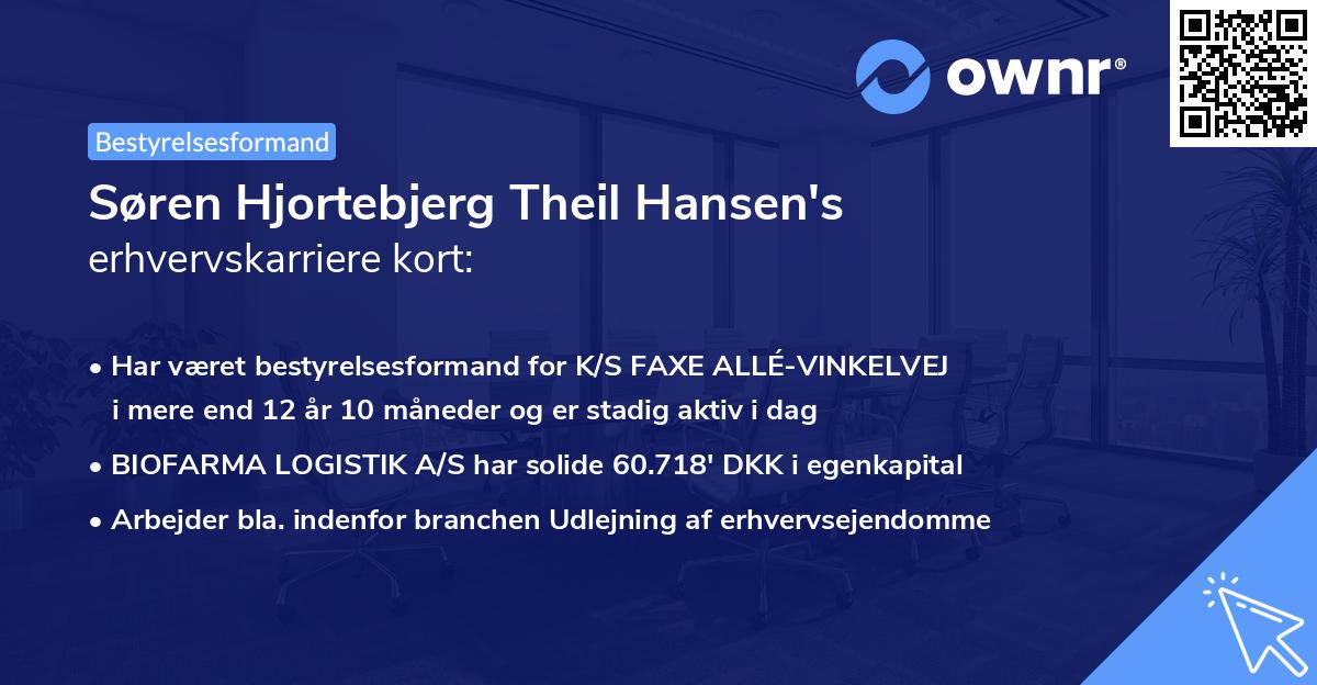 Søren Hjortebjerg Theil Hansen's erhvervskarriere kort