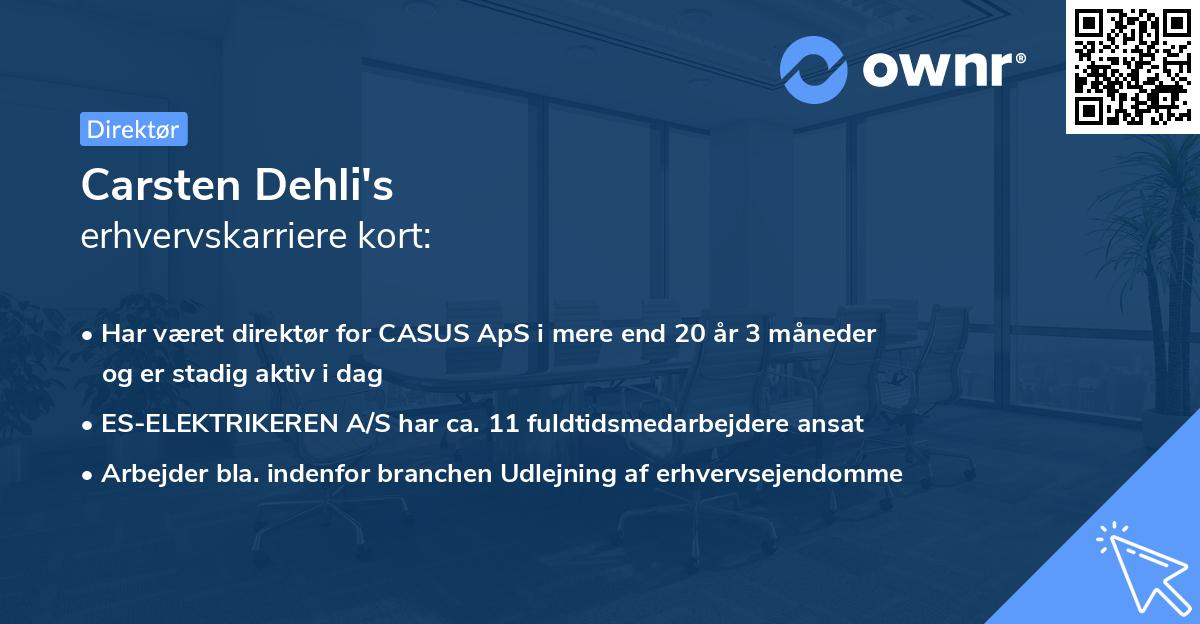 Carsten Dehli's erhvervskarriere kort