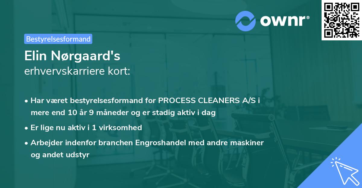 Elin Nørgaard's erhvervskarriere kort