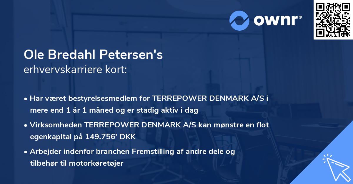 Ole Bredahl Petersen's erhvervskarriere kort