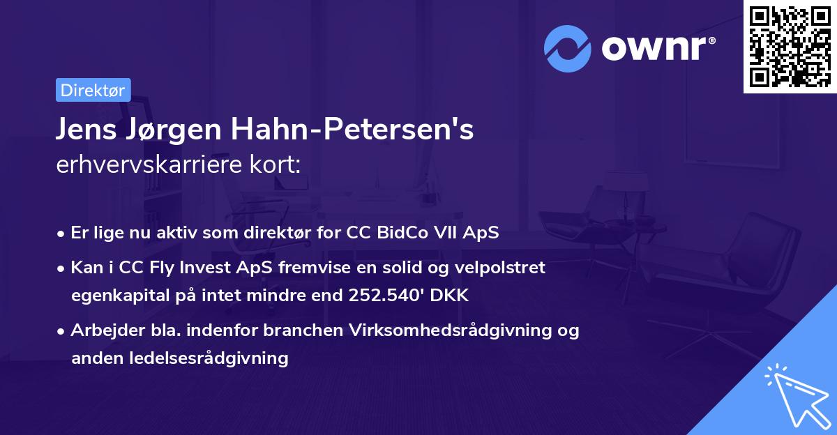 Jens Jørgen Hahn-Petersen's erhvervskarriere kort