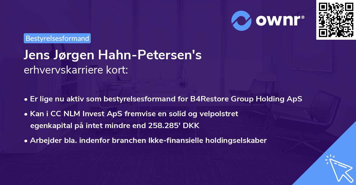 Jens Jørgen Hahn-Petersen's erhvervskarriere kort
