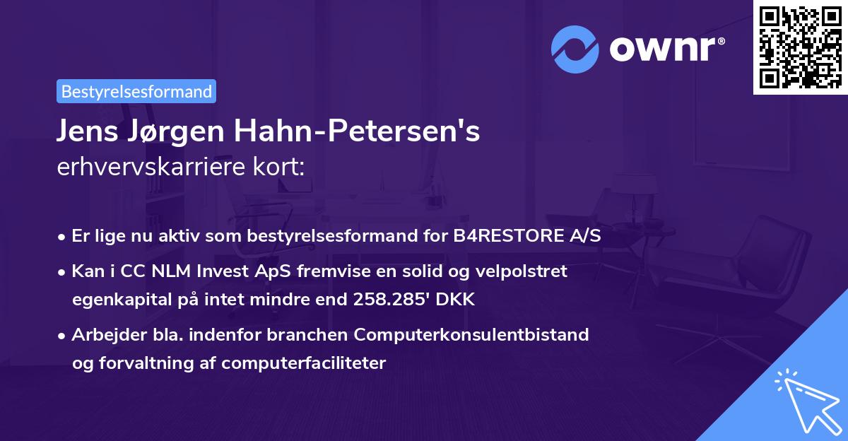 Jens Jørgen Hahn-Petersen's erhvervskarriere kort