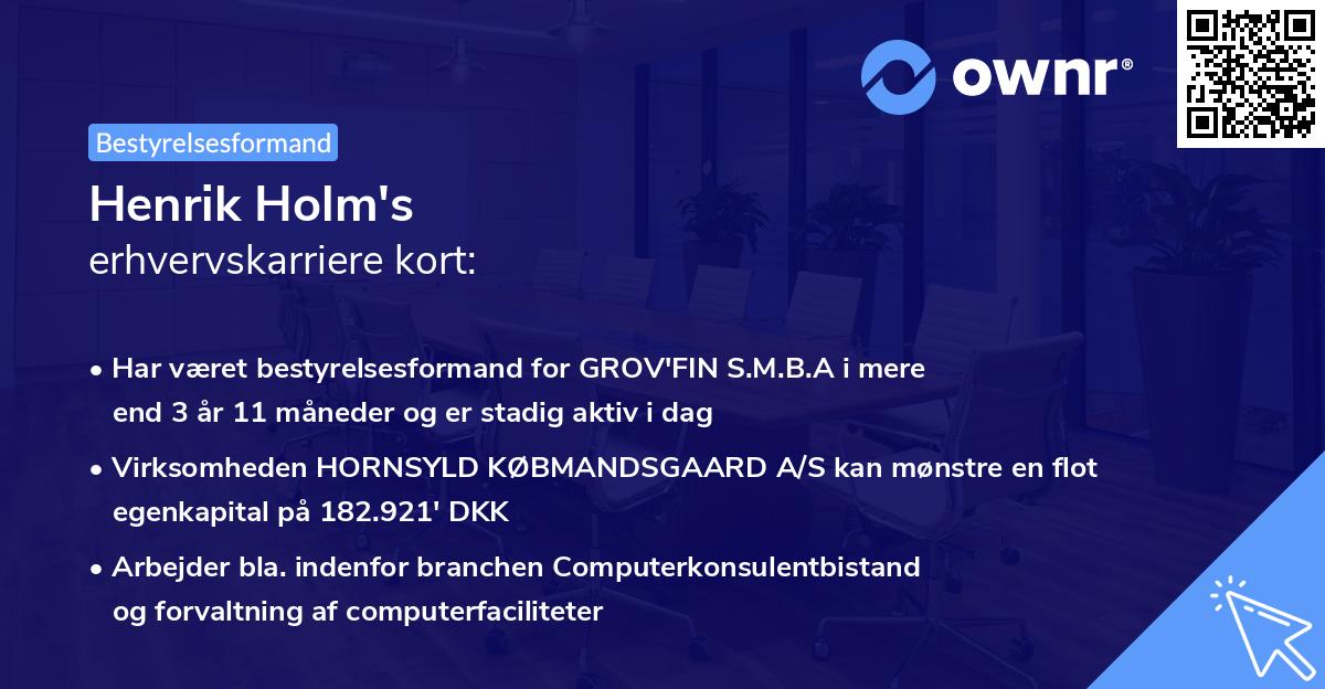 Henrik Holm's erhvervskarriere kort