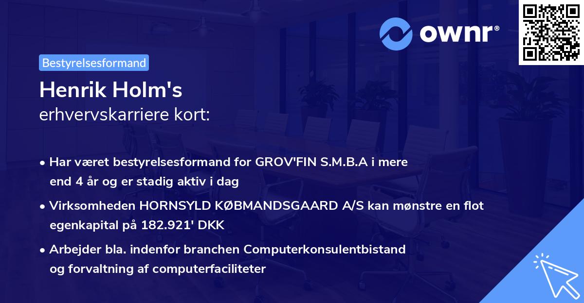 Henrik Holm's erhvervskarriere kort