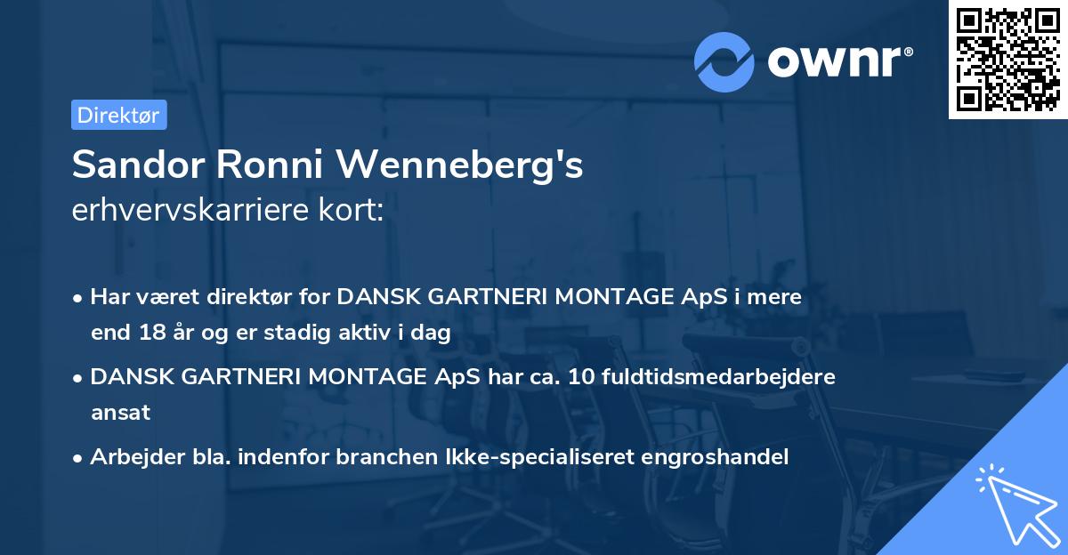 Sandor Ronni Wenneberg's erhvervskarriere kort