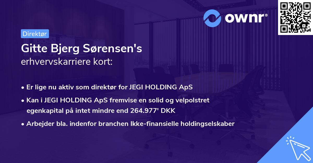 Gitte Bjerg Sørensen's erhvervskarriere kort