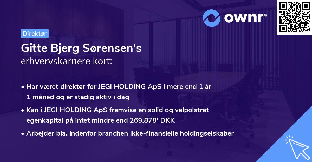Gitte Bjerg Sørensen's erhvervskarriere kort