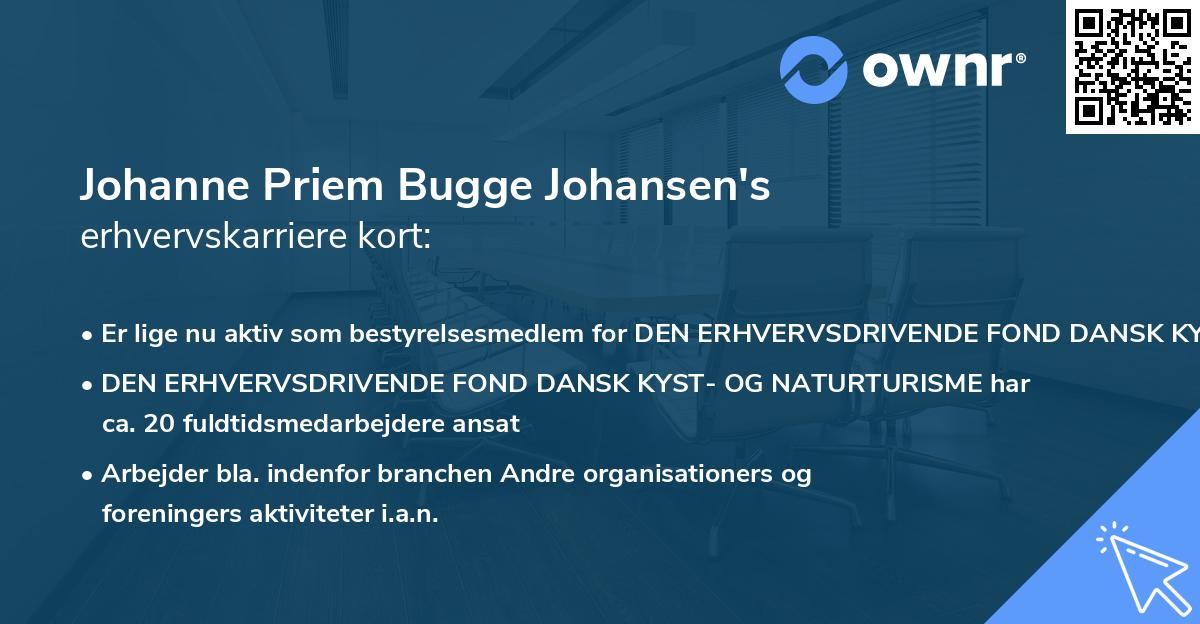 Johanne Priem Bugge Johansen's erhvervskarriere kort