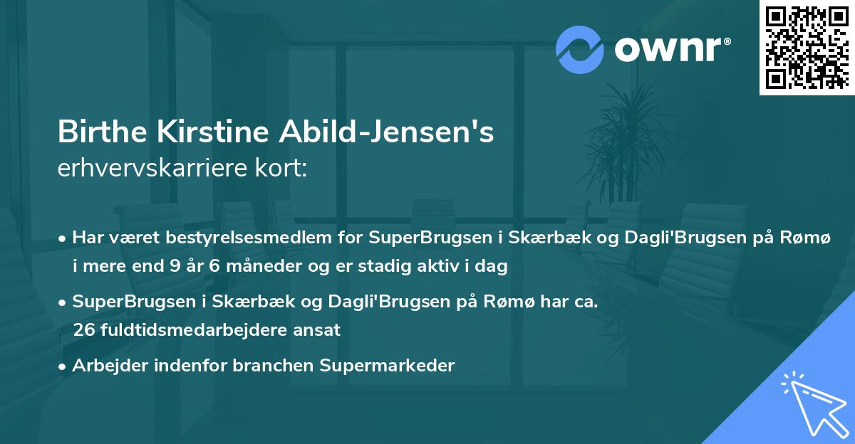 Birthe Kirstine Abild-Jensen's erhvervskarriere kort