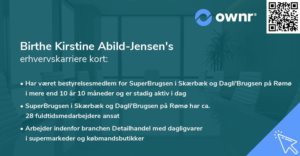 Birthe Kirstine Abild-Jensen's erhvervskarriere kort