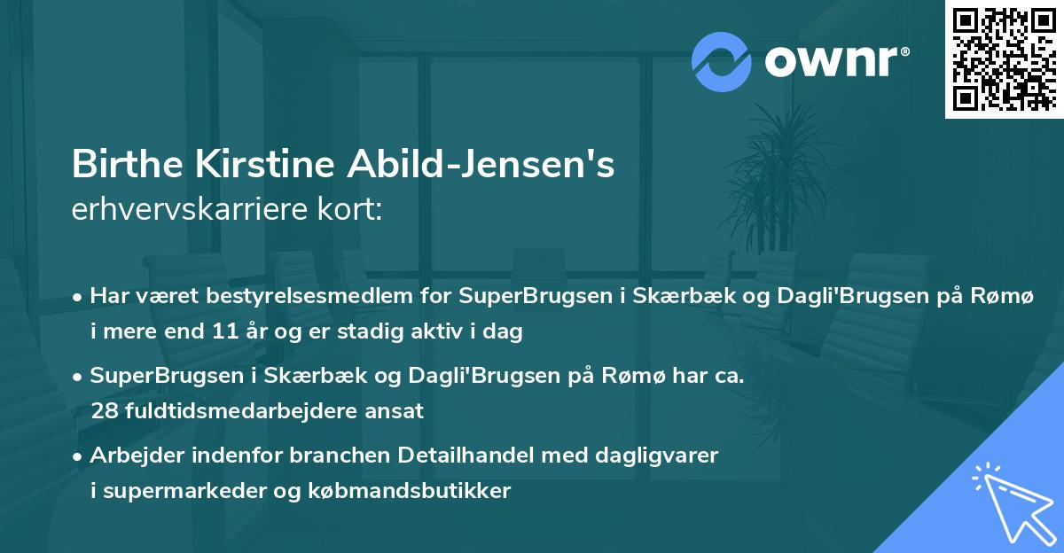 Birthe Kirstine Abild-Jensen's erhvervskarriere kort
