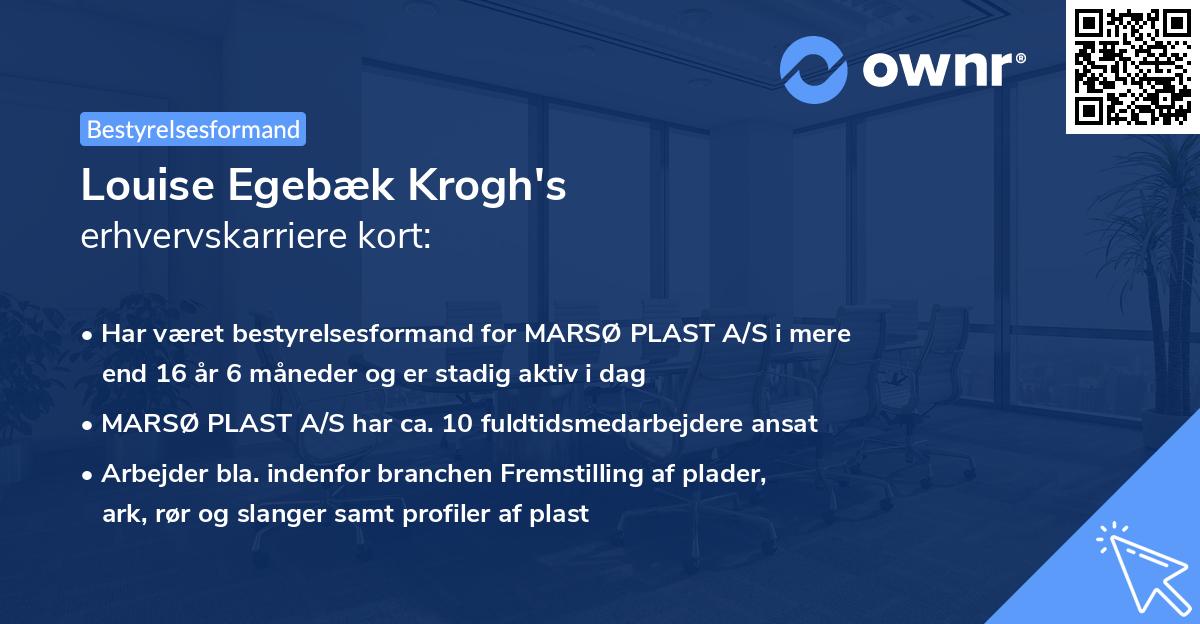 Louise Egebæk Krogh's erhvervskarriere kort