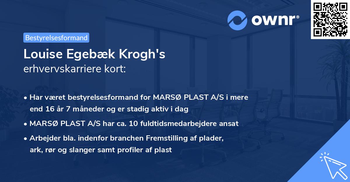 Louise Egebæk Krogh's erhvervskarriere kort