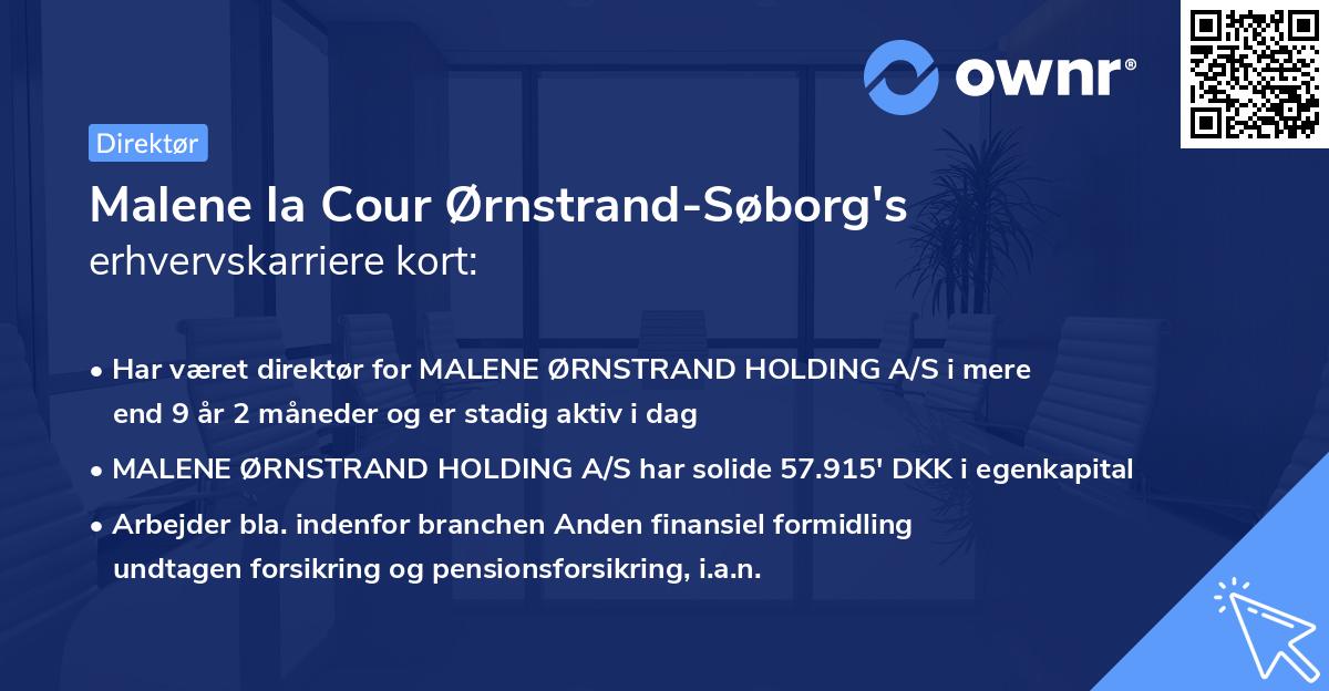 Malene la Cour Ørnstrand-Søborg's erhvervskarriere kort