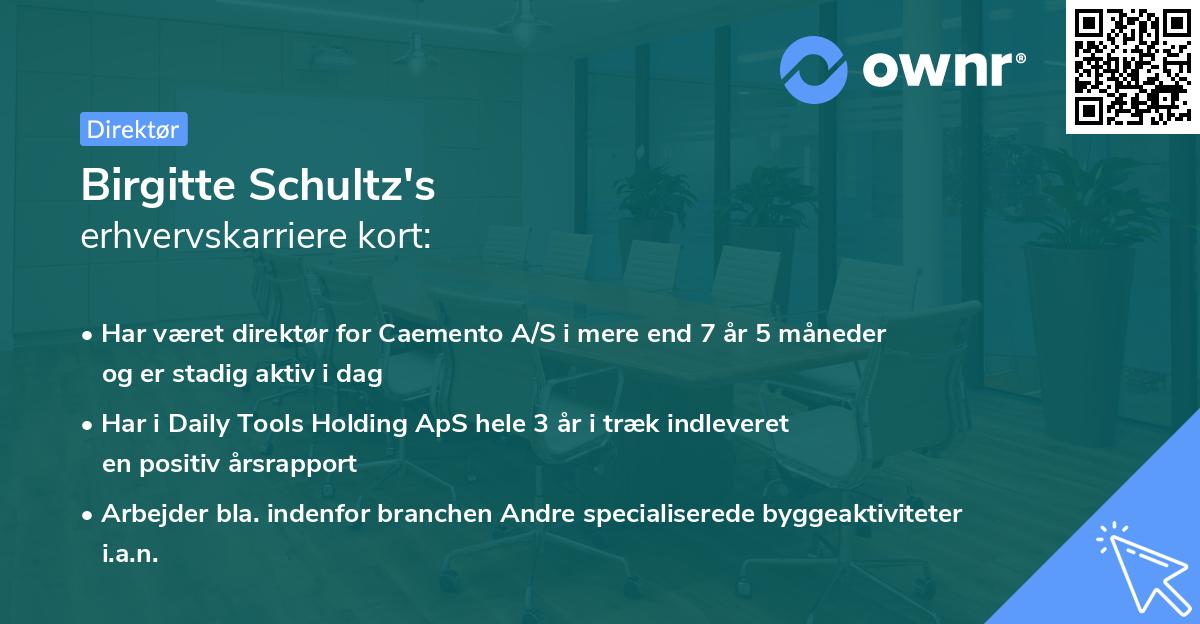 Birgitte Schultz's erhvervskarriere kort