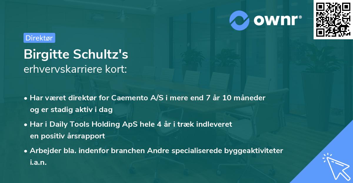 Birgitte Schultz's erhvervskarriere kort