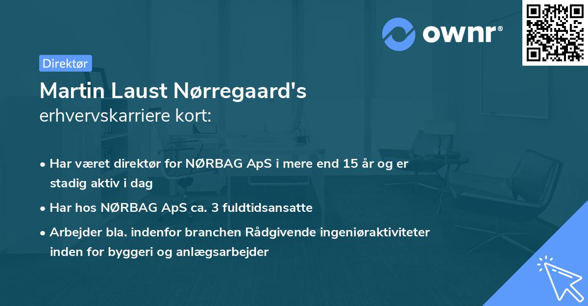Martin Laust Nørregaard's erhvervskarriere kort