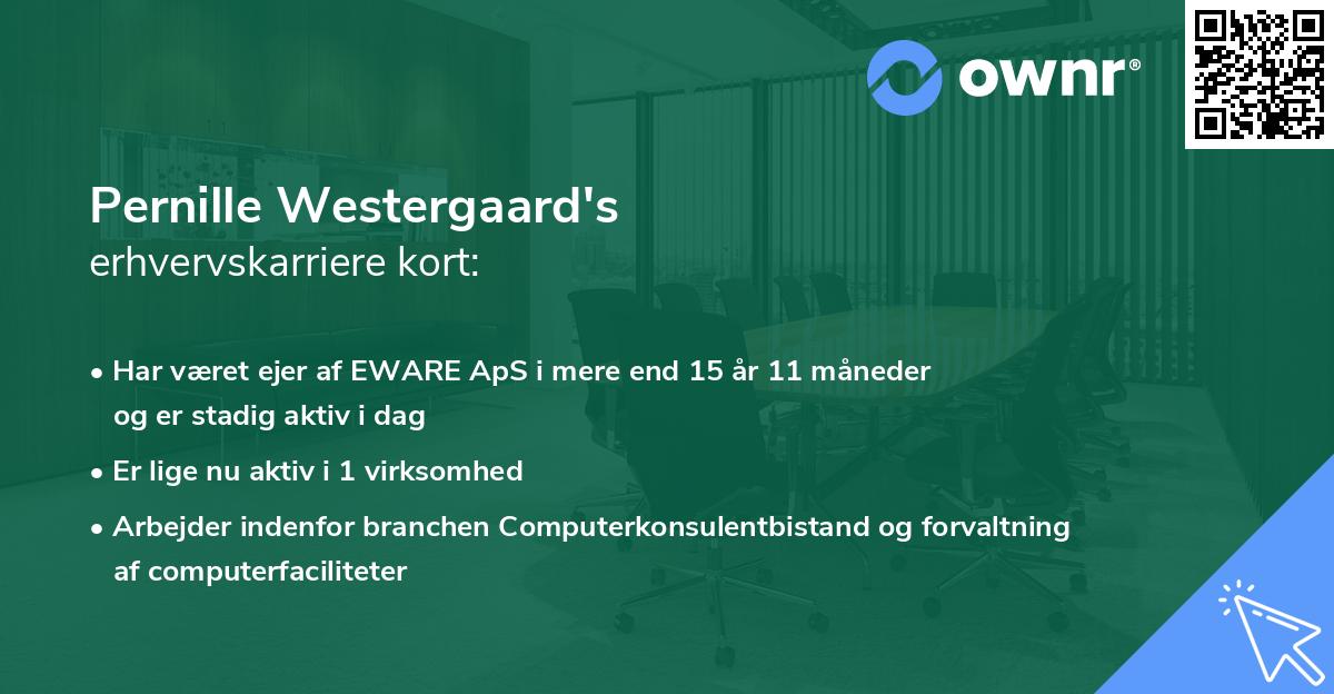 Pernille Westergaard's erhvervskarriere kort