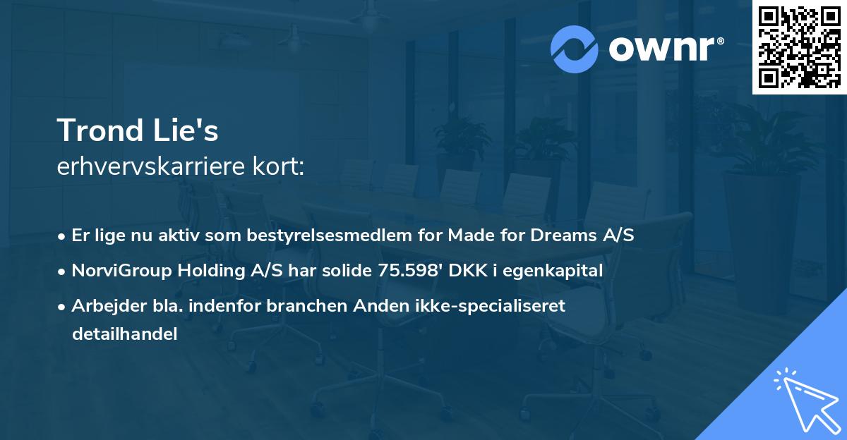 Trond Lie's erhvervskarriere kort