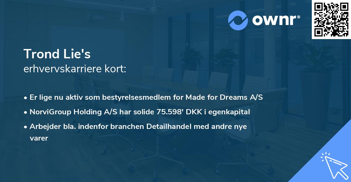 Trond Lie's erhvervskarriere kort