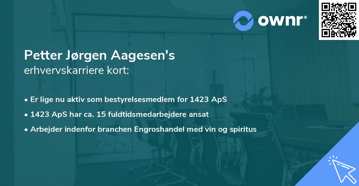 Petter Jørgen Aagesen's erhvervskarriere kort