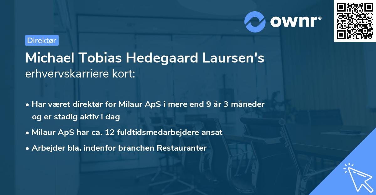Michael Tobias Hedegaard Laursen's erhvervskarriere kort