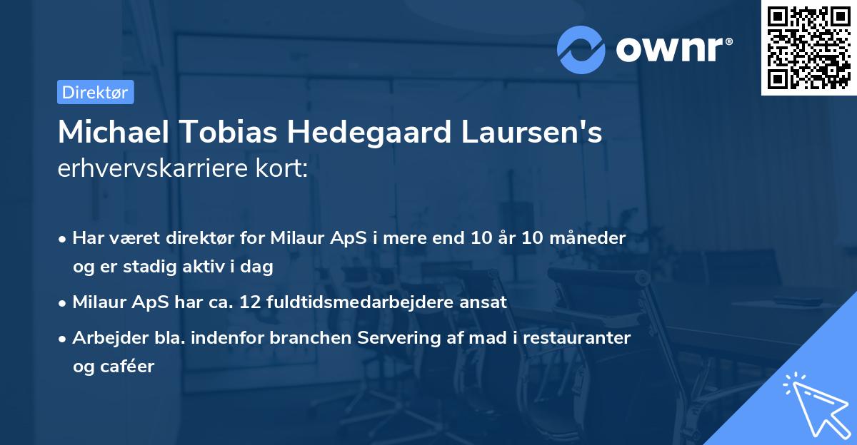 Michael Tobias Hedegaard Laursen's erhvervskarriere kort