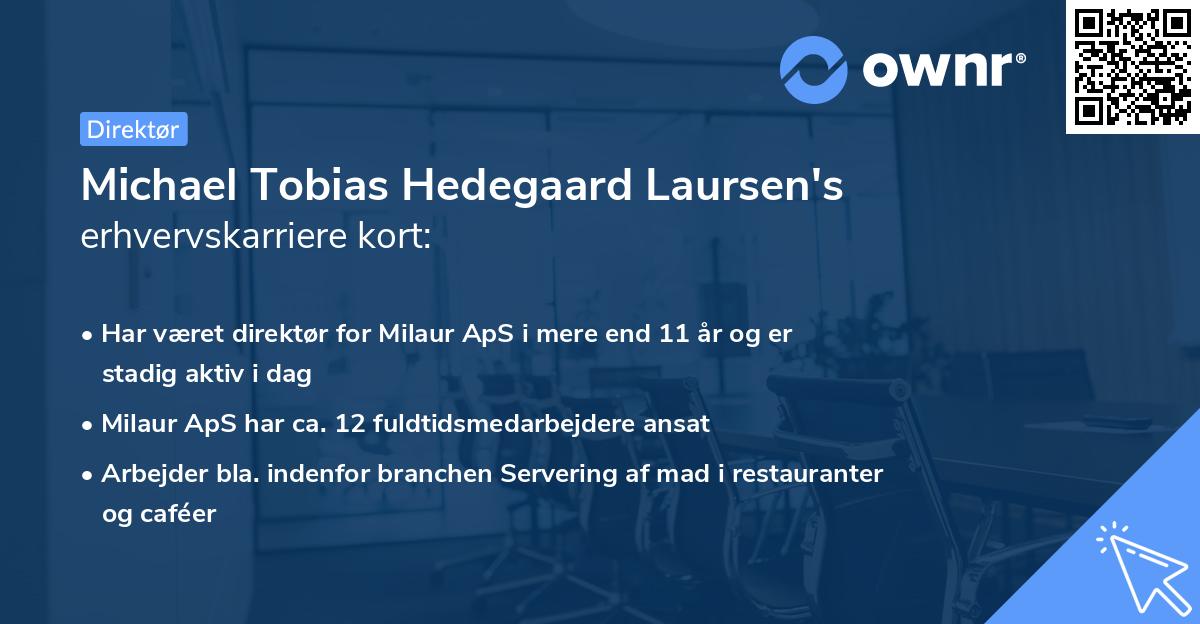 Michael Tobias Hedegaard Laursen's erhvervskarriere kort