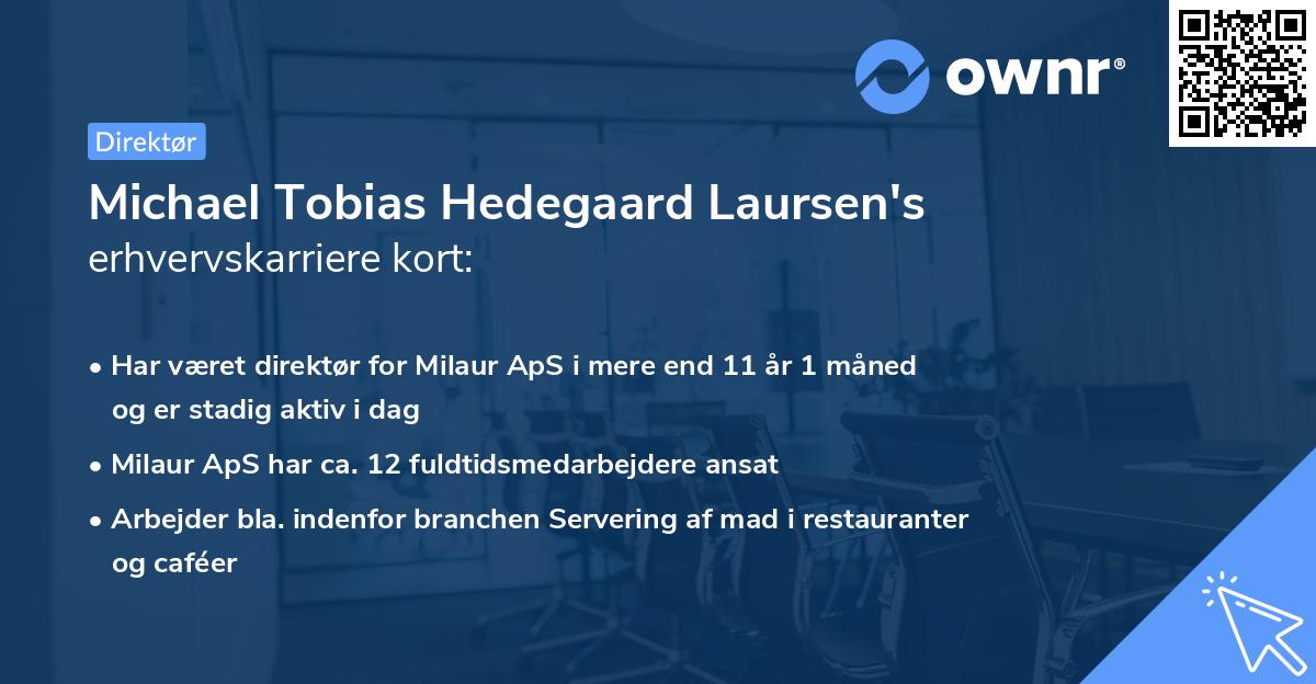 Michael Tobias Hedegaard Laursen's erhvervskarriere kort