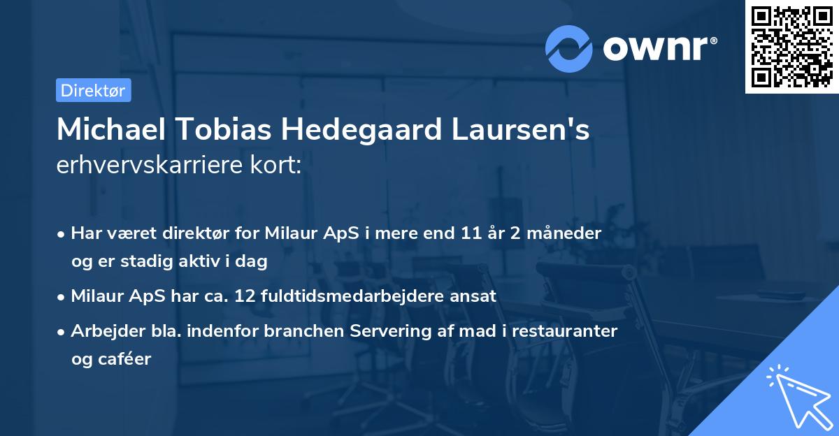 Michael Tobias Hedegaard Laursen's erhvervskarriere kort