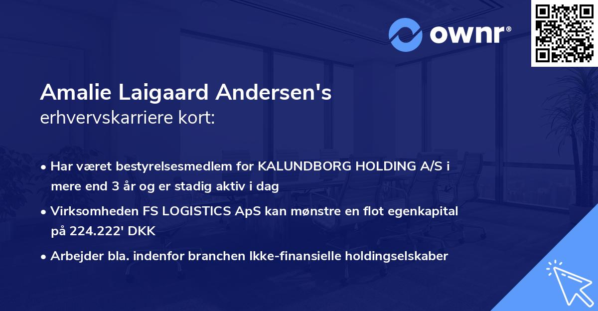 Amalie Laigaard Andersen's erhvervskarriere kort