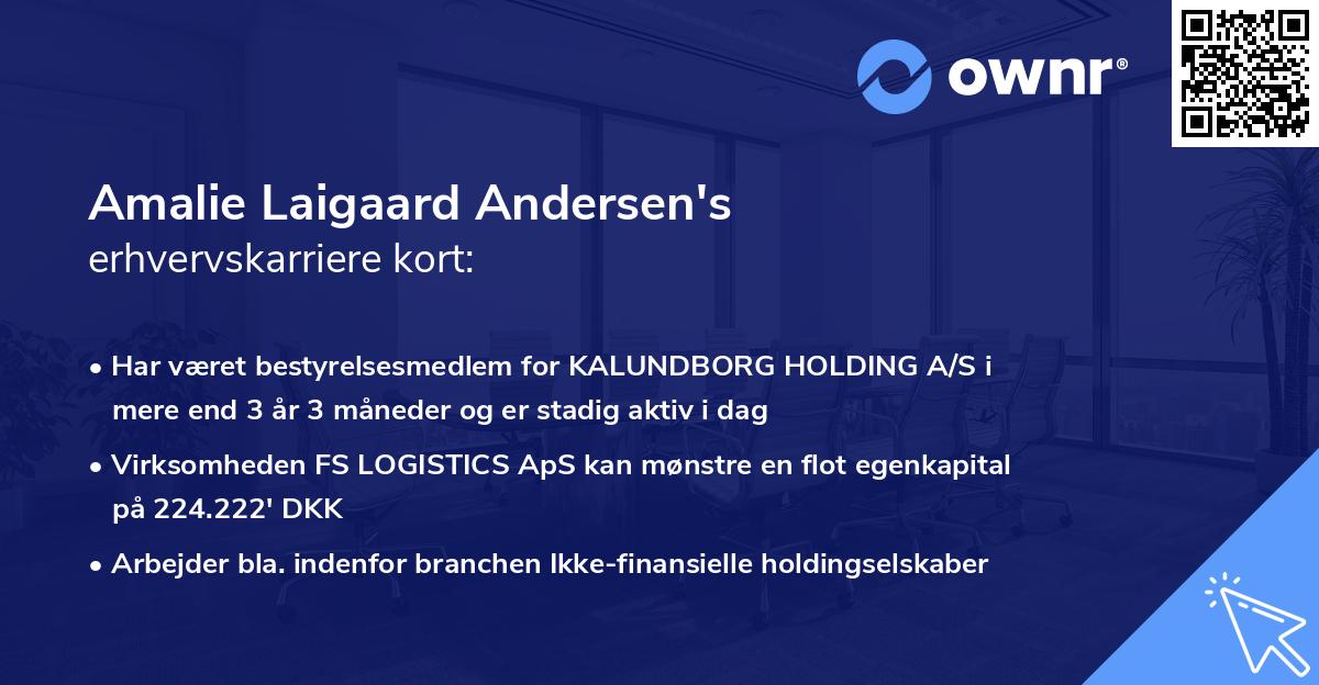 Amalie Laigaard Andersen's erhvervskarriere kort