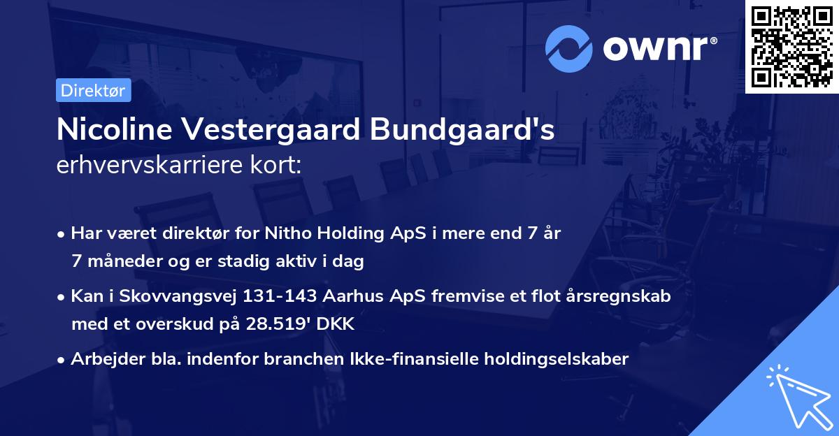 Nicoline Vestergaard Bundgaard's erhvervskarriere kort