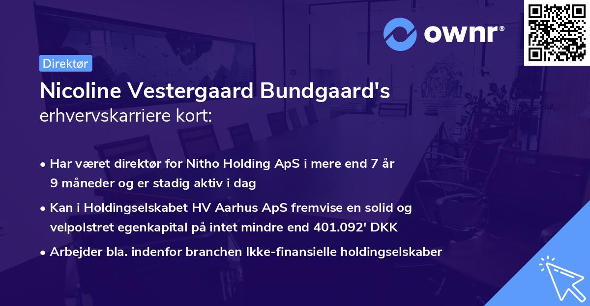 Nicoline Vestergaard Bundgaard's erhvervskarriere kort