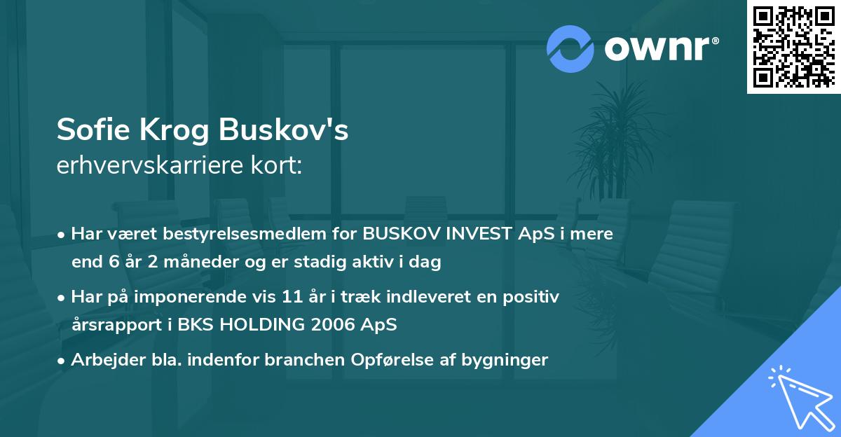 Sofie Krog Buskov's erhvervskarriere kort