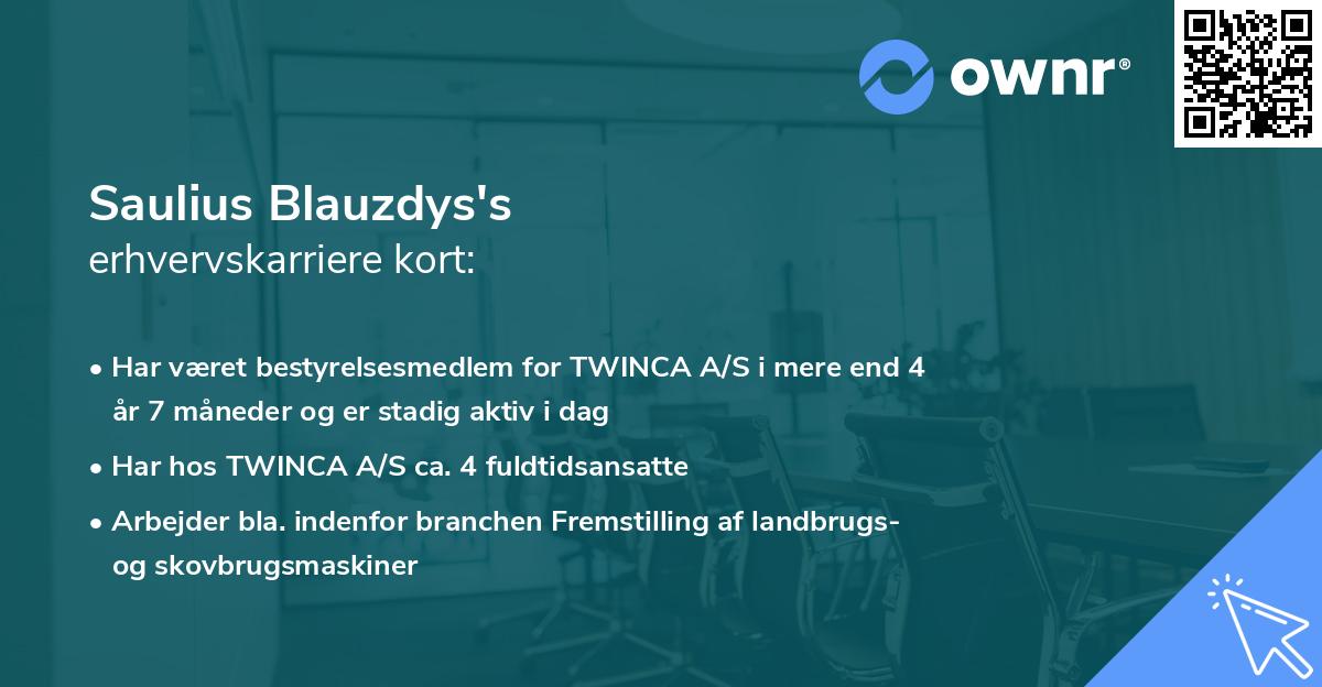 Saulius Blauzdys's erhvervskarriere kort