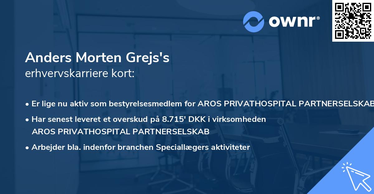 Anders Morten Grejs's erhvervskarriere kort