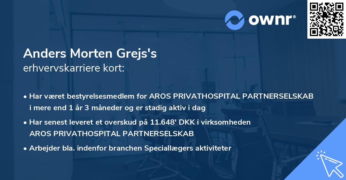 Anders Morten Grejs's erhvervskarriere kort