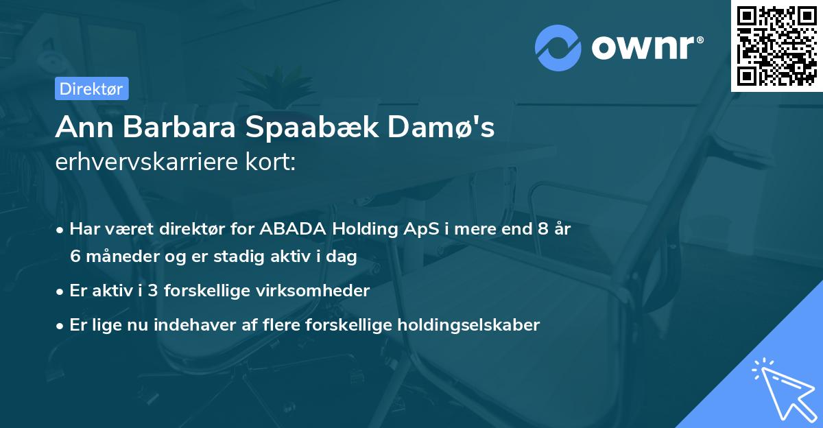 Ann Barbara Spaabæk Damø's erhvervskarriere kort