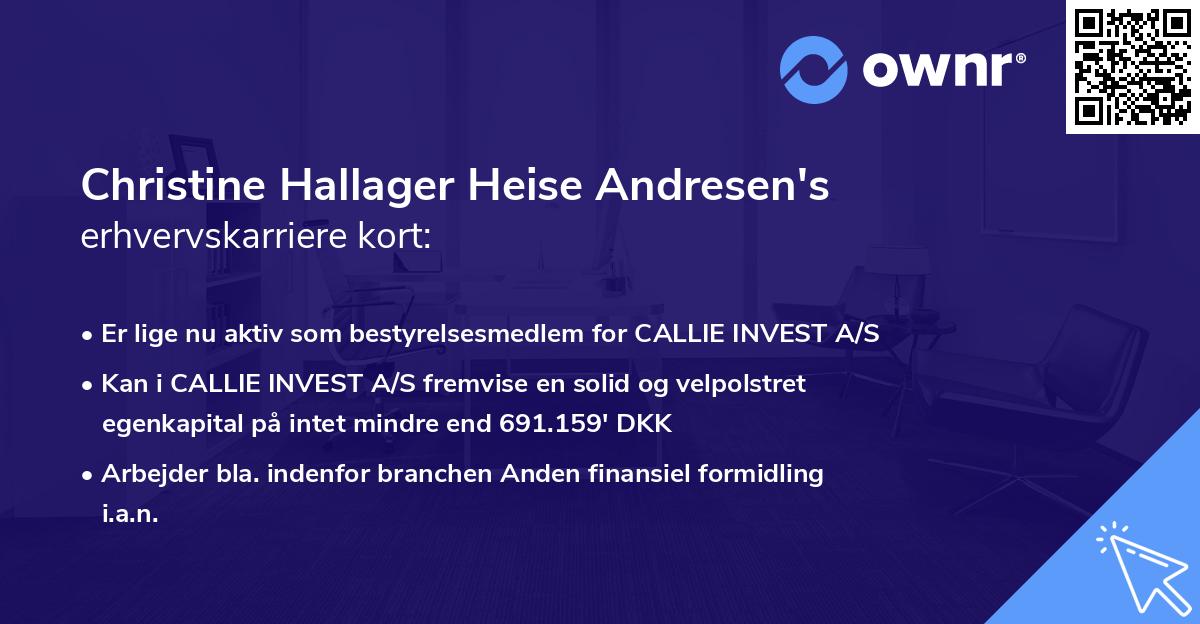 Christine Hallager Heise Andresen's erhvervskarriere kort
