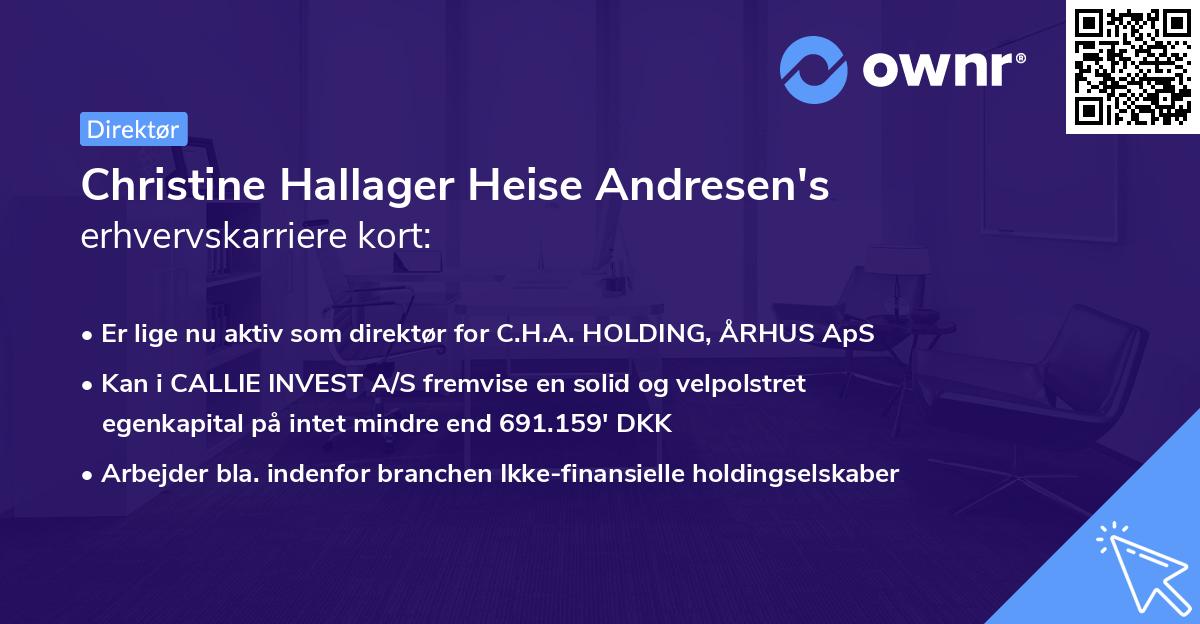 Christine Hallager Heise Andresen's erhvervskarriere kort