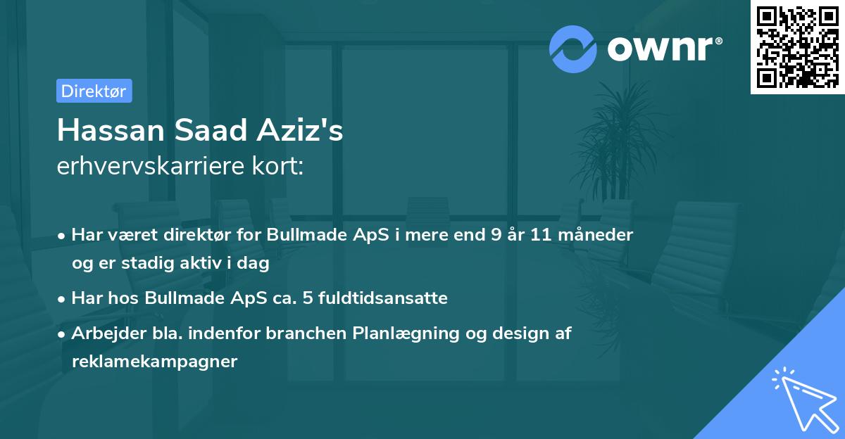 Hassan Saad Aziz's erhvervskarriere kort