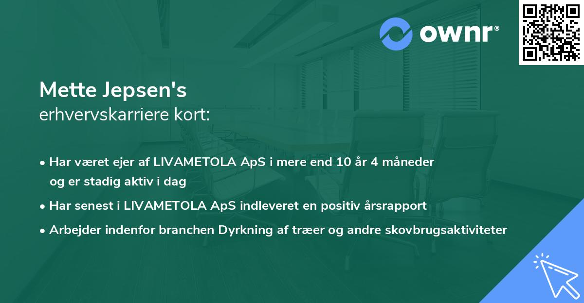 Mette Jepsen's erhvervskarriere kort