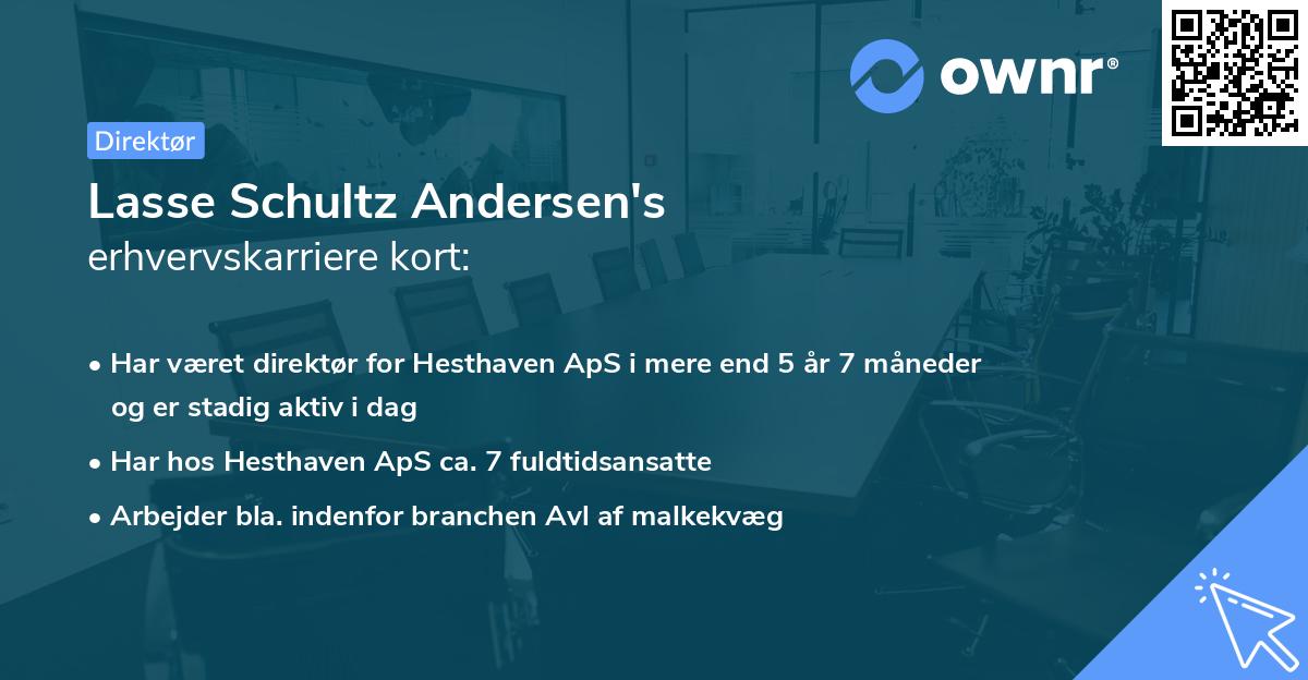 Lasse Schultz Andersen's erhvervskarriere kort