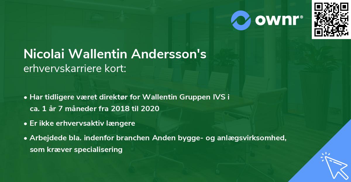 Nicolai Wallentin Andersson's erhvervskarriere kort