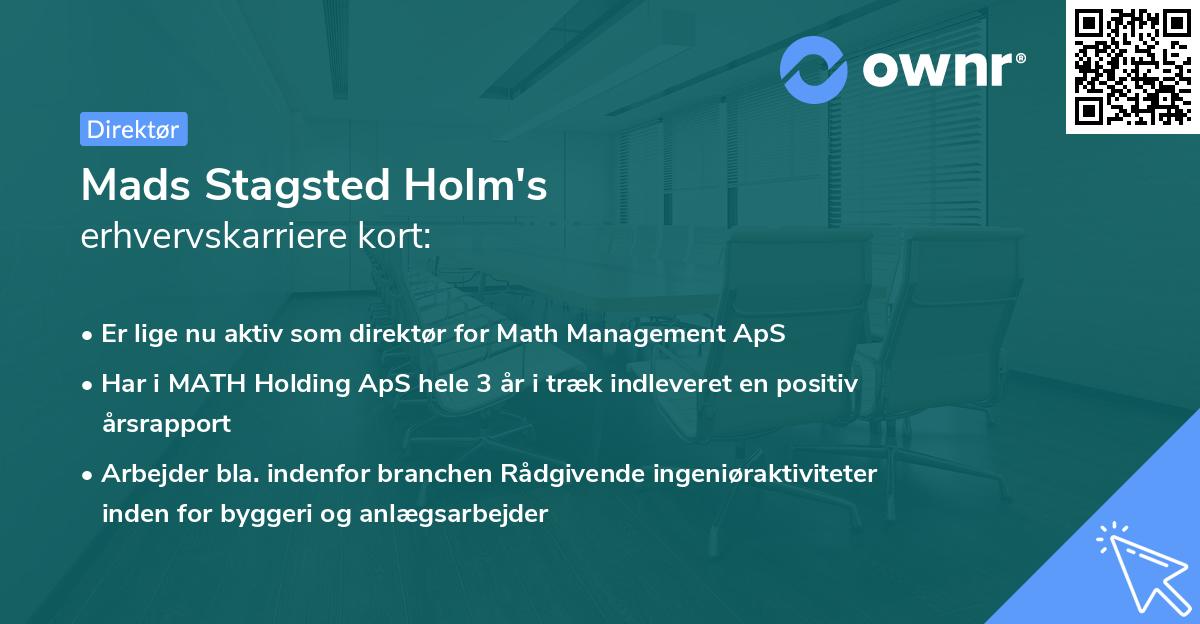 Mads Stagsted Holm's erhvervskarriere kort