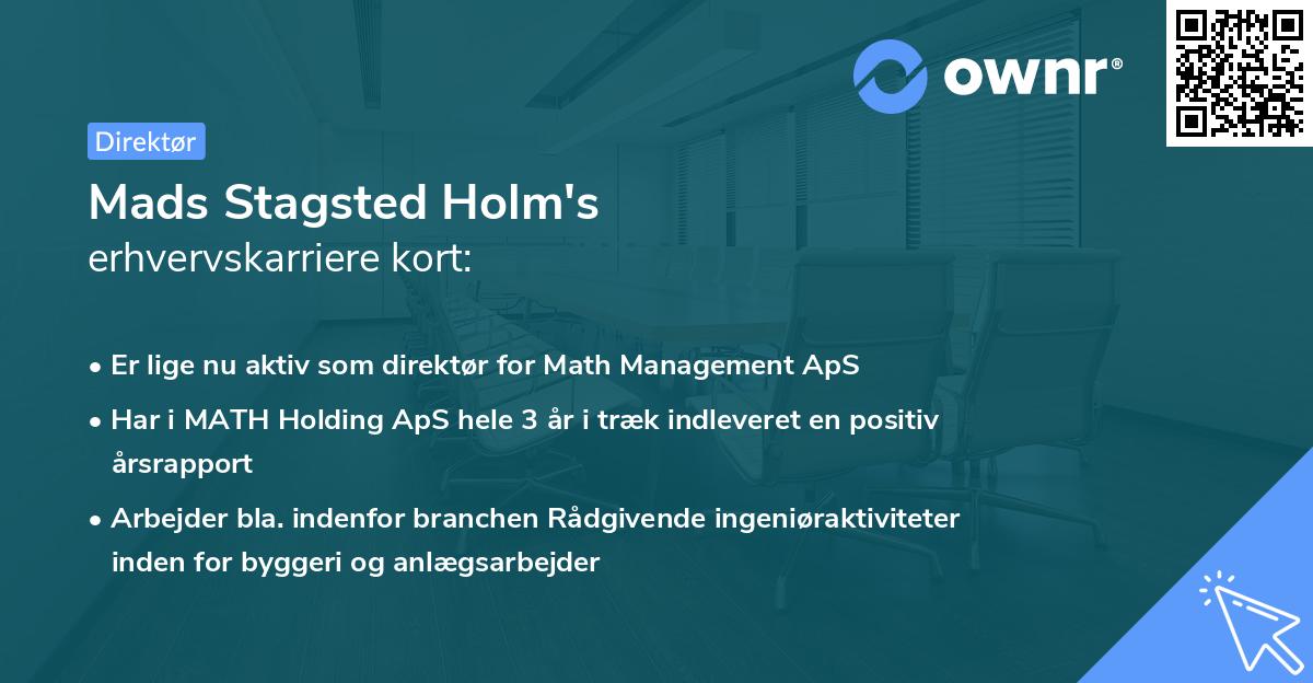 Mads Stagsted Holm's erhvervskarriere kort