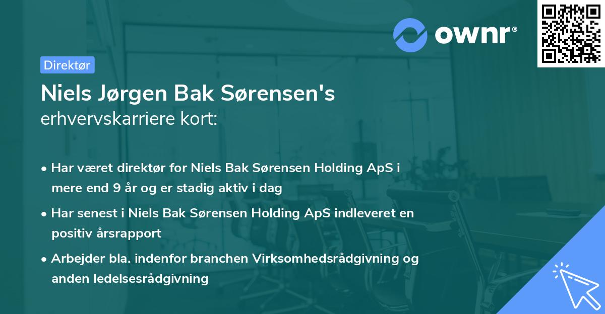 Niels Jørgen Bak Sørensen's erhvervskarriere kort