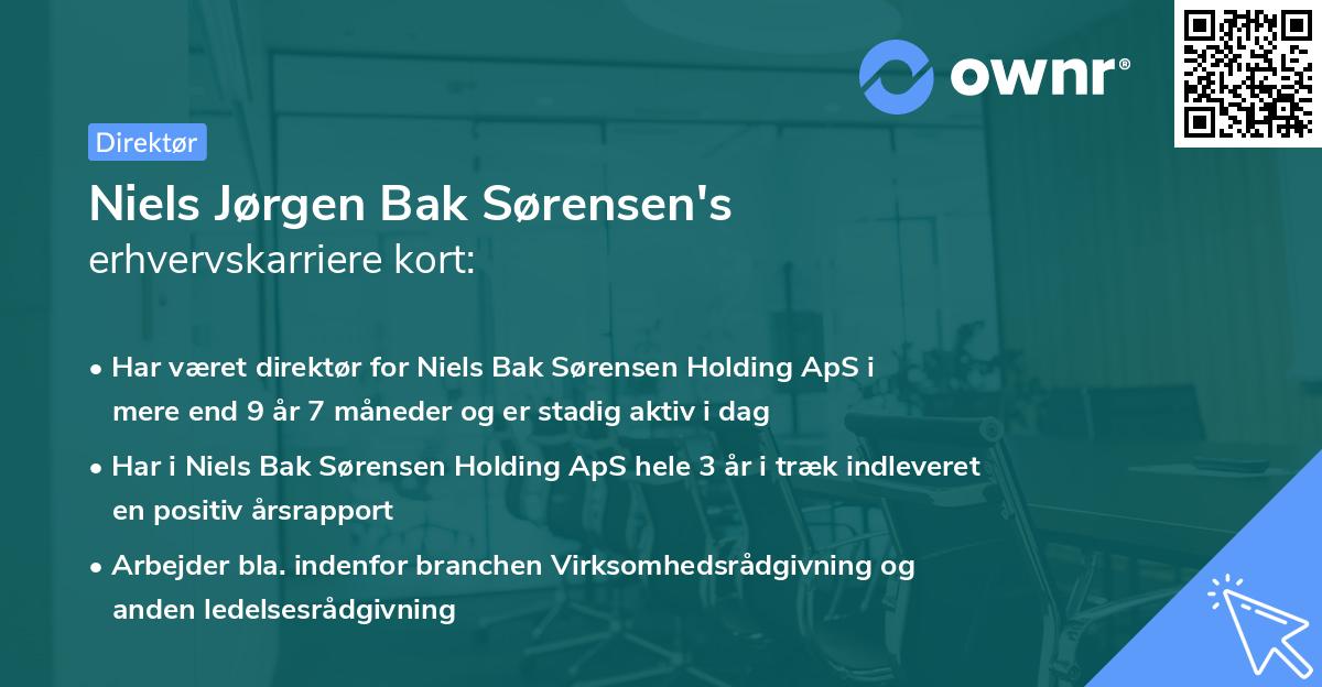 Niels Jørgen Bak Sørensen's erhvervskarriere kort
